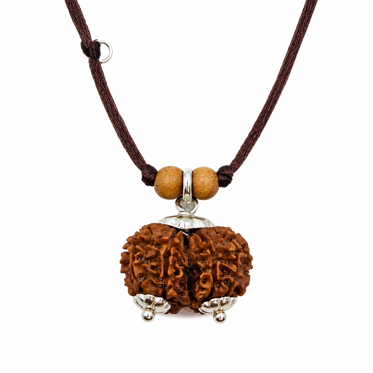 Gauri-Shankara/Shiva-Shakti-Rudraksha (Nepal)-Particularmente poderoso